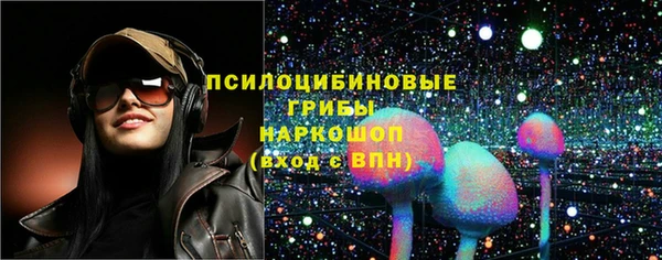 apvp Алзамай