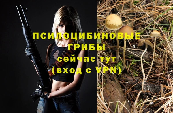 стафф Алексин
