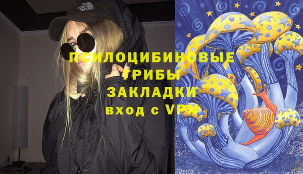 стафф Алексин