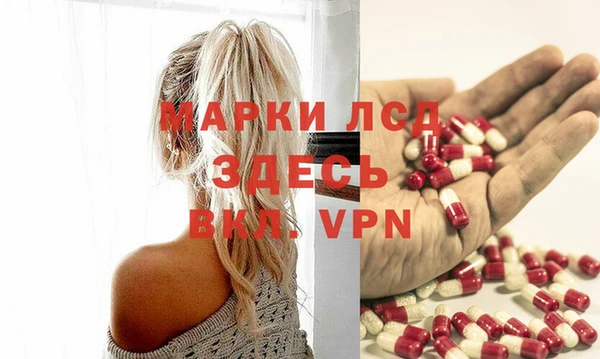 apvp Алзамай