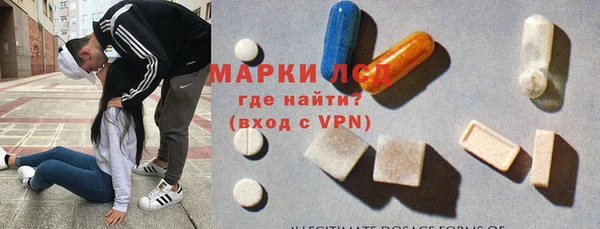 apvp Алзамай