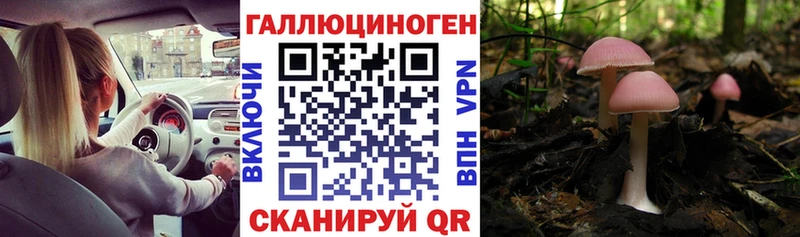 как найти закладки  Алушта  Галлюциногенные грибы Magic Shrooms 
