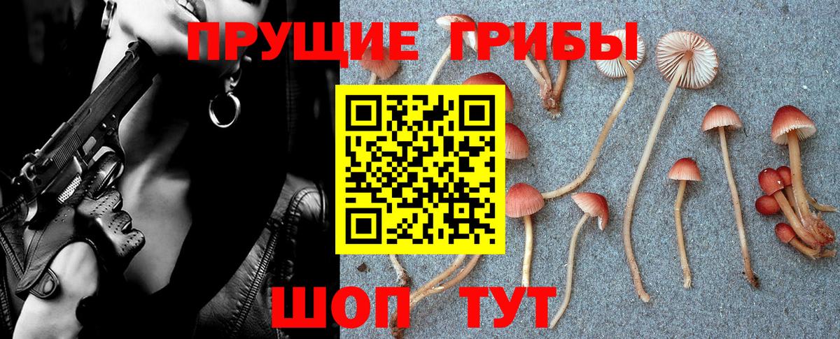 Псилоцибиновые грибы Psilocybine cubensis Алушта
