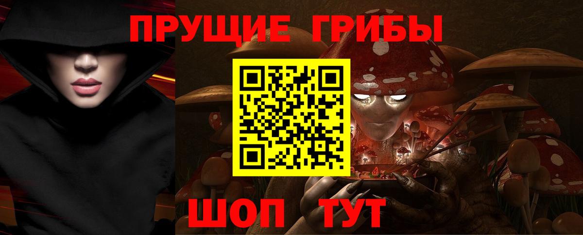 Галлюциногенные грибы прущие грибы  Псилоцибиновые грибы Psilocybine cubensis  что такое   Вход с VPN  Алушта 